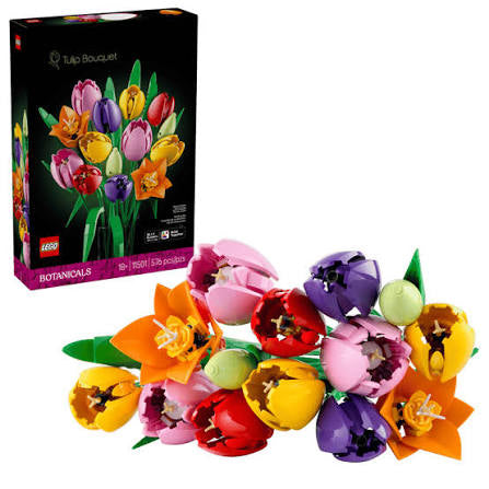 Tulips (11501)