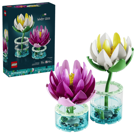 Water Lilies (11511)